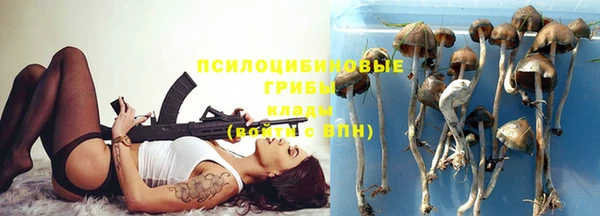 a pvp Вязьма
