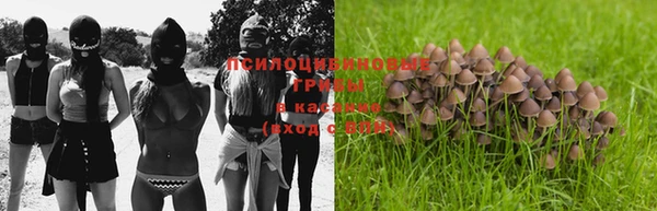 a pvp Вязьма