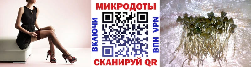 Купить  Хилок  Галлюциногенные грибы Psilocybe 